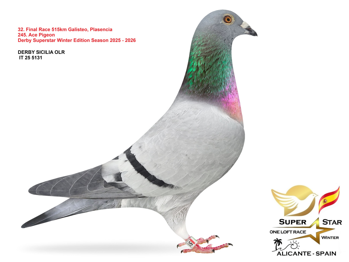 Final Superstar Winter Edition - part 2