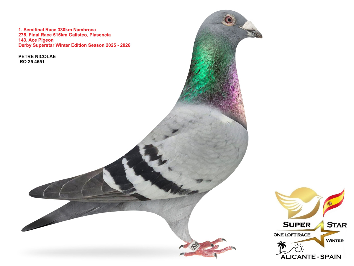 Final Superstar Winter Edition - part 2