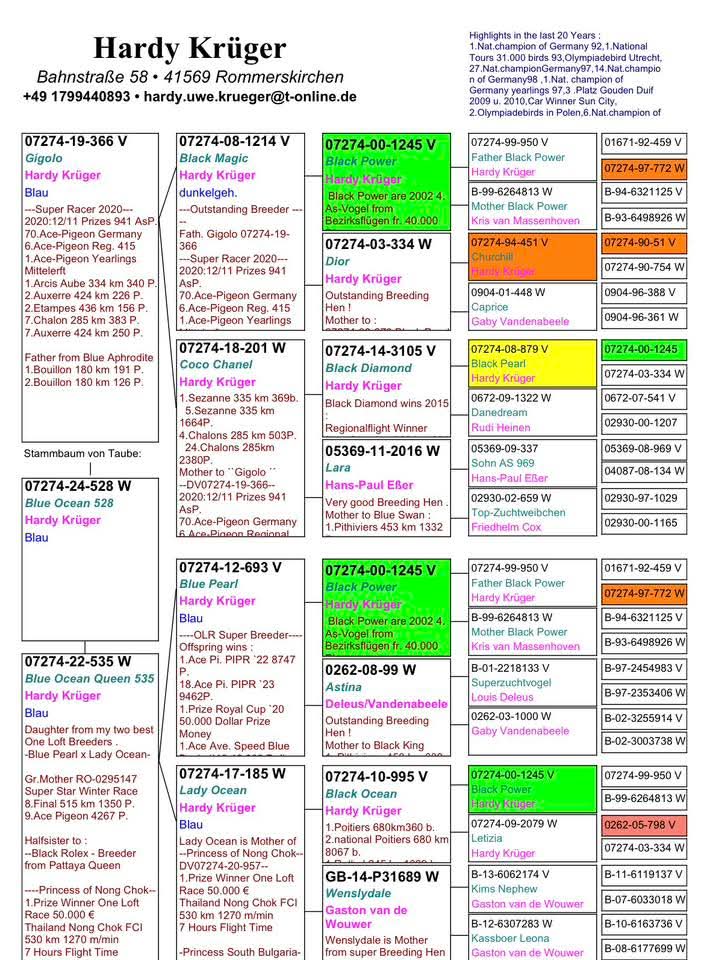 8. Final Race 515km Galisteo, Plasencia; 
9. Ace Pigeon,
33. Hot Spot 2
Derby Superstar Winter Edition Season 2025 - 2026 

NAGY GYULA
 RO 25 295147
