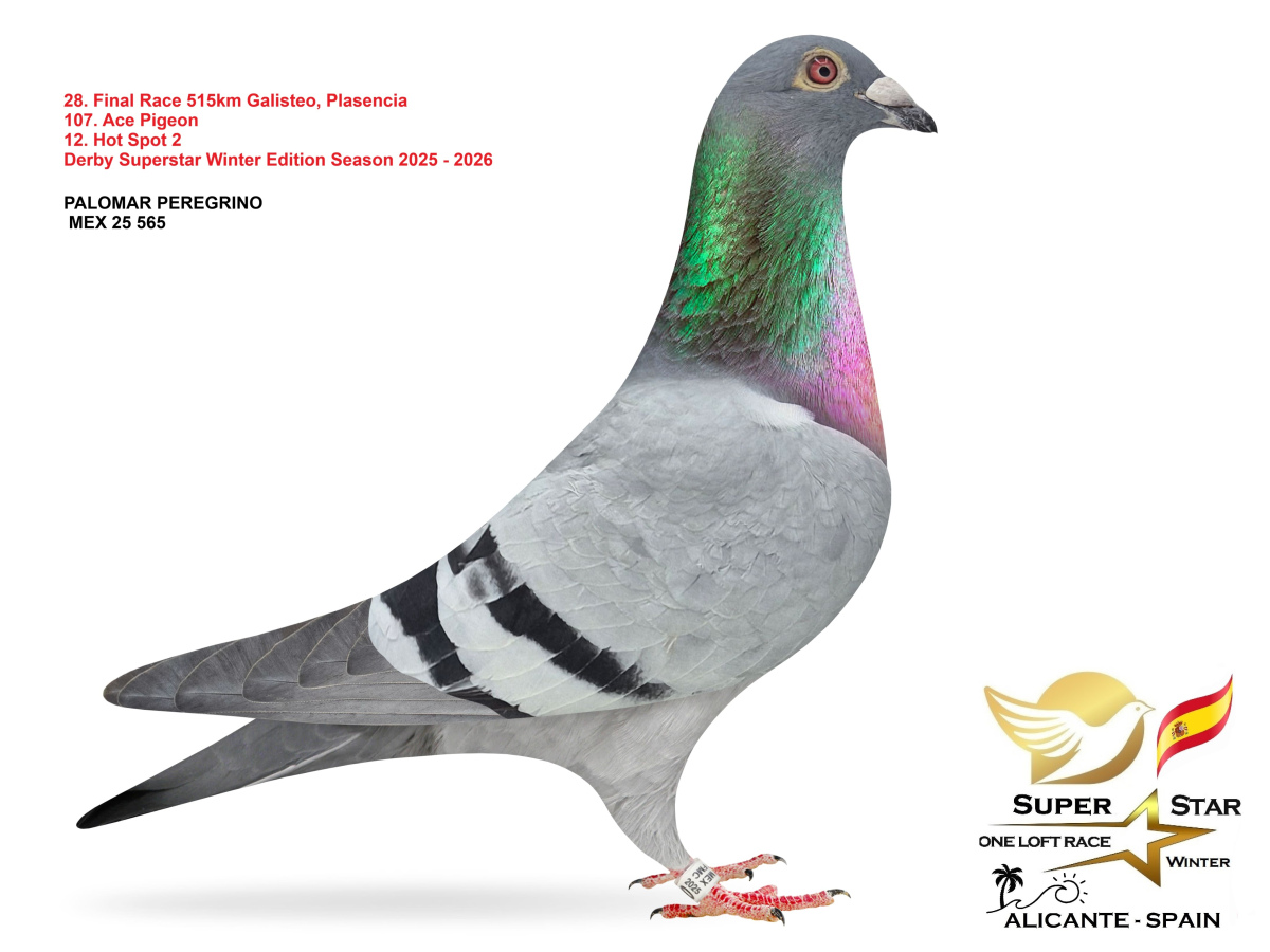 Final Superstar Winter Edition - part 3