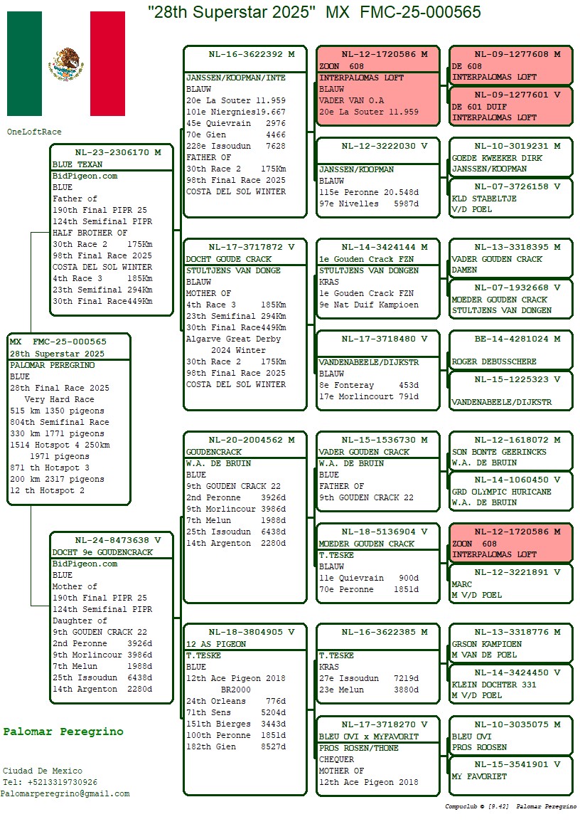 28. Final Race 515km Galisteo, Plasencia;
107. Ace Pigeon,
12. Hot Spot 2
Derby Superstar Winter Edition Season 2025 - 2026 

PALOMAR PEREGRINO
 MEX 25 565