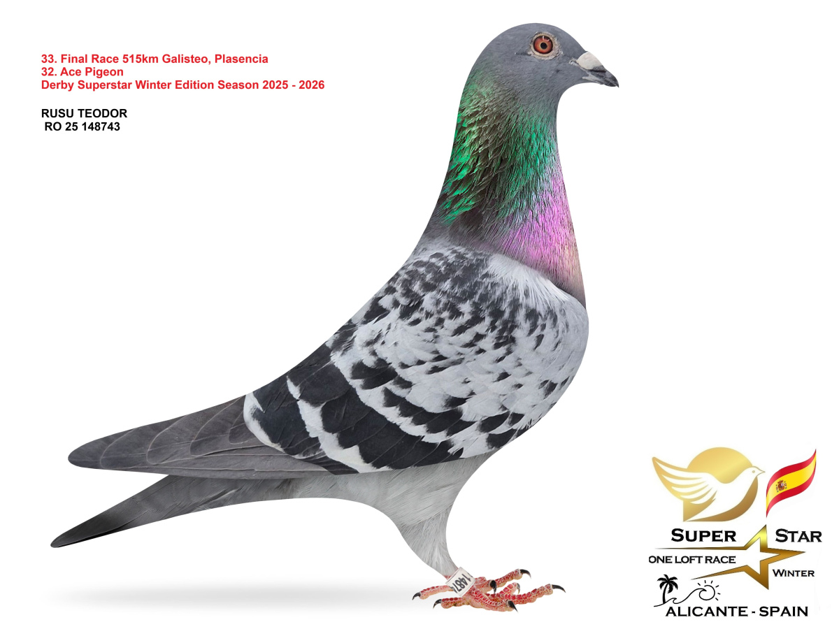 Final Superstar Winter Edition - part 3