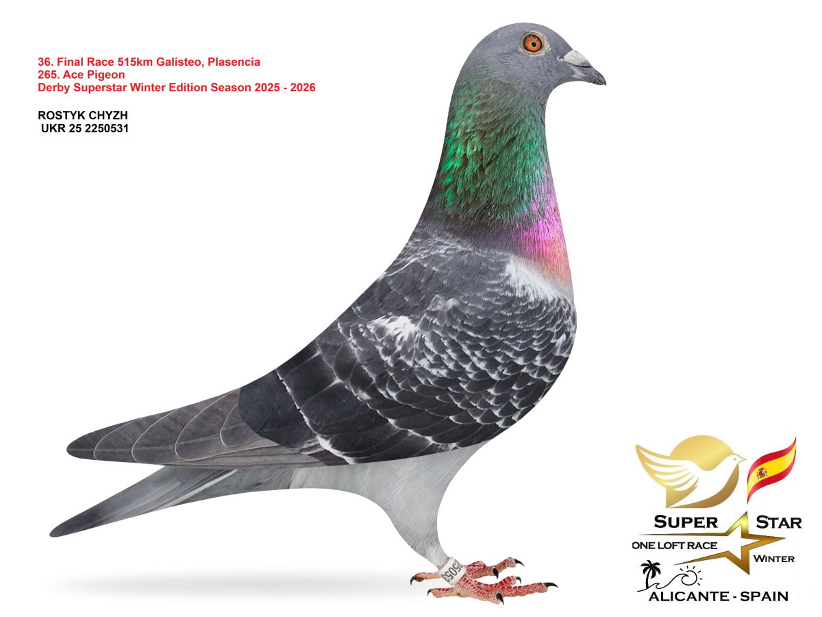 Final Superstar Winter Edition - part 3