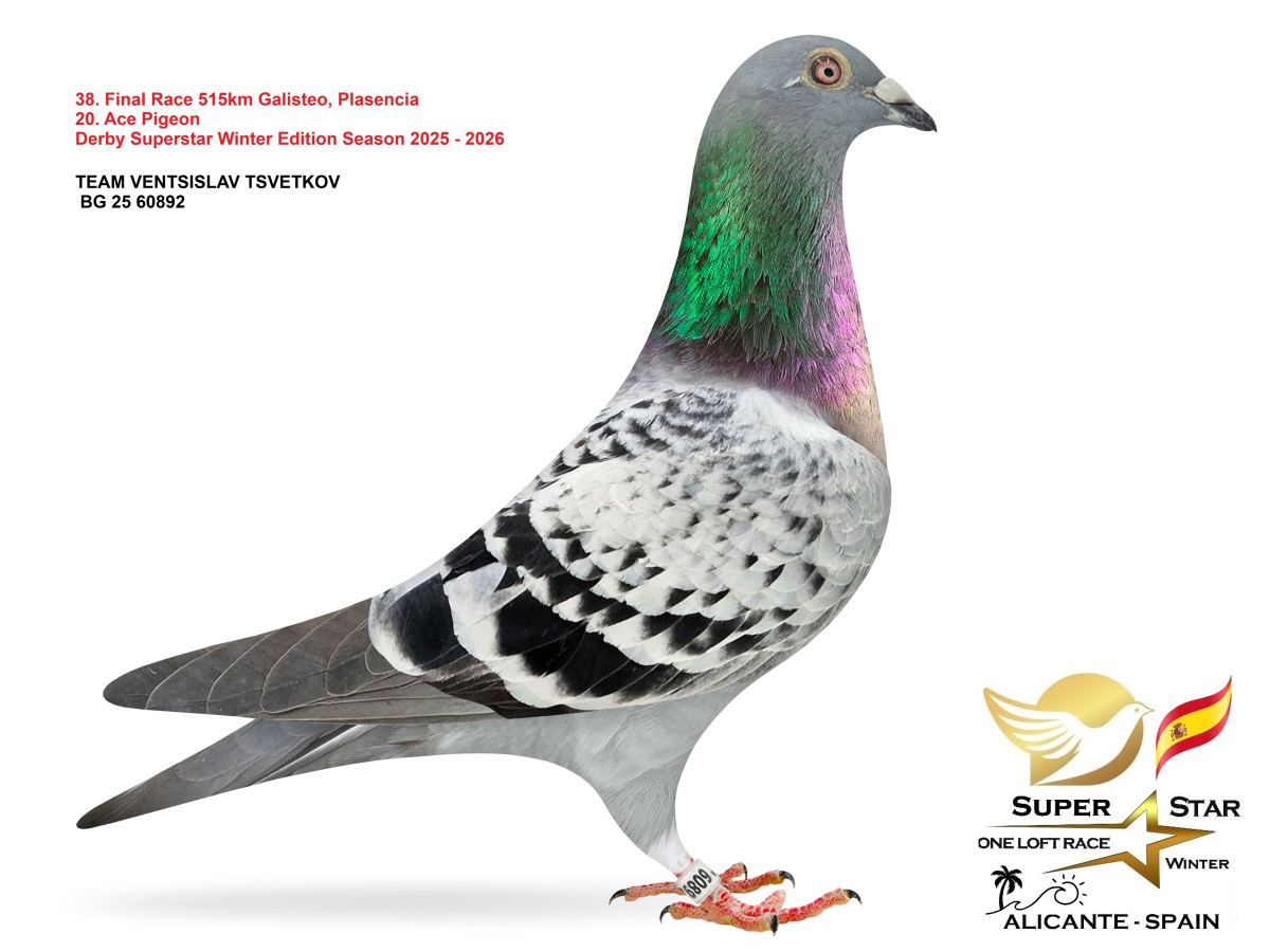 Final Superstar Winter Edition - part 3