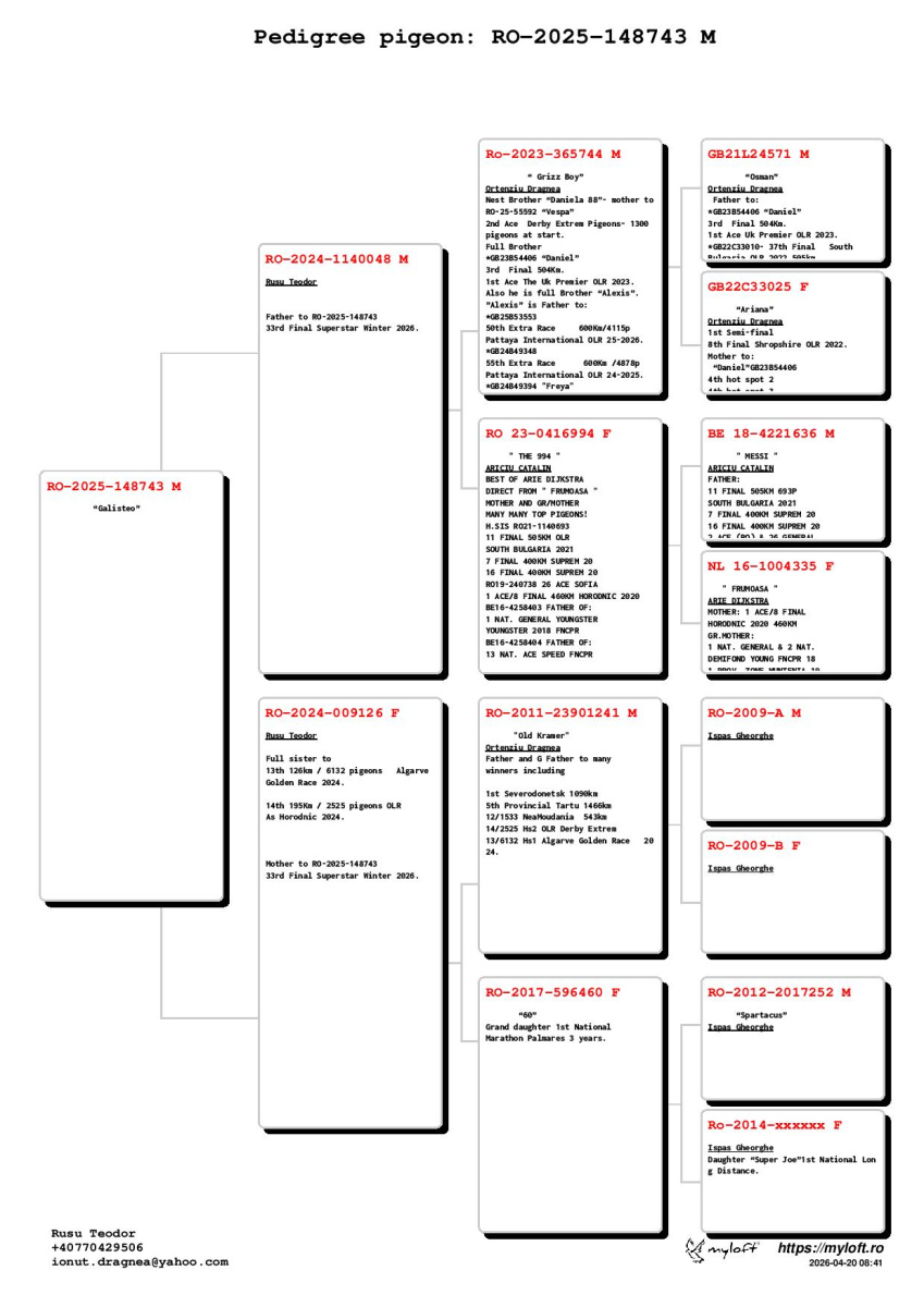 33. Final Race 515km Galisteo, Plasencia;
32. Ace Pigeon
Derby Superstar Winter Edition Season 2025 - 2026 

RUSU TEODOR
 RO 25 148743