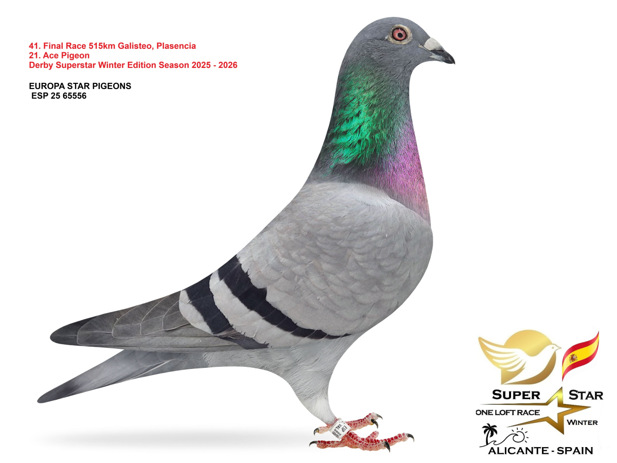 Final Superstar Winter Edition - part 3