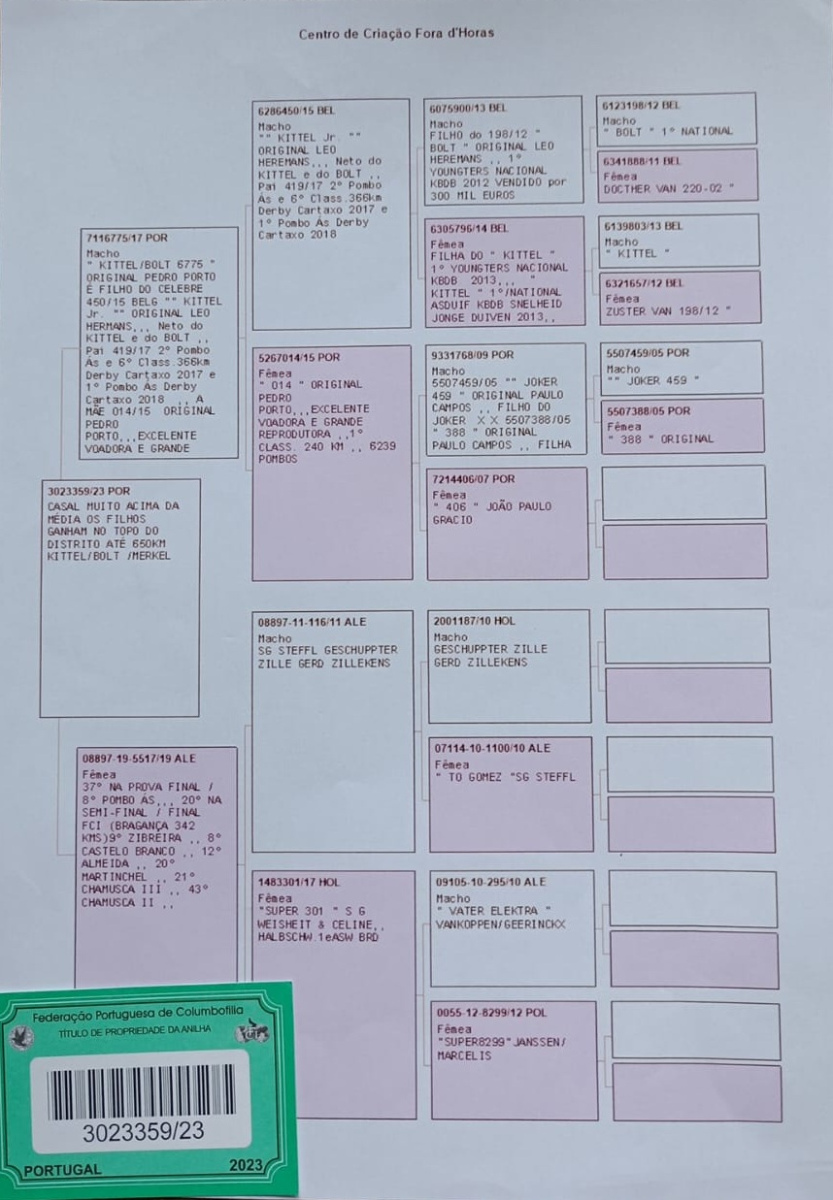 41. Final Race 515km Galisteo, Plasencia;
21. Ace Pigeon
Derby Superstar Winter Edition Season 2025 - 2026 

EUROPA STAR PIGEONS
 ESP 25 65556