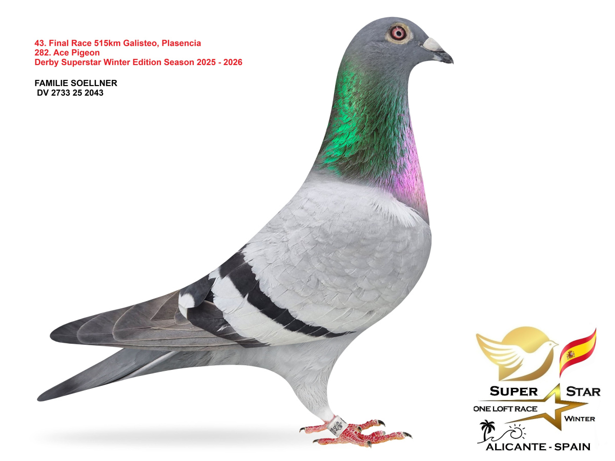 Final Superstar Winter Edition - part 3