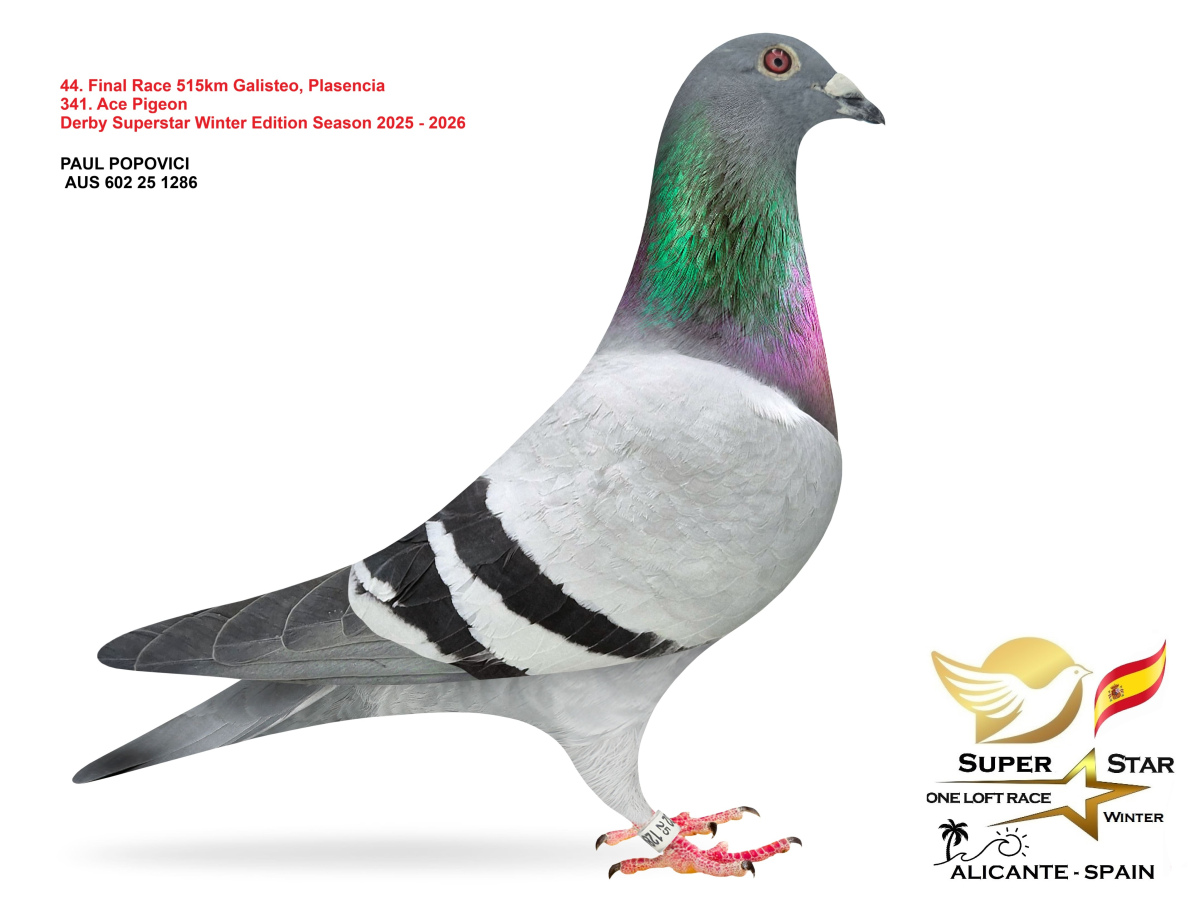 Final Superstar Winter Edition - part 3