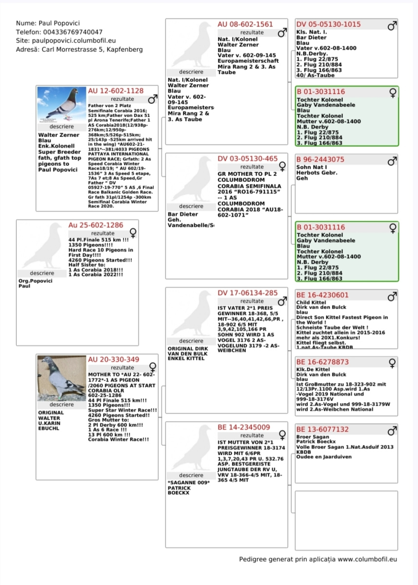44. Final Race 515km Galisteo, Plasencia;
341. Ace Pigeon
Derby Superstar Winter Edition Season 2025 - 2026 

PAUL POPOVICI
 AUS 602 25 1286