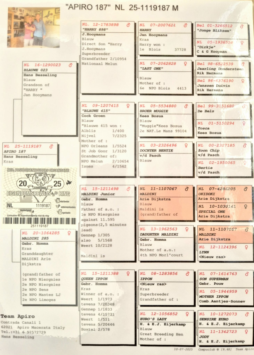 47. Final Race 515km Galisteo, Plasencia
122. Ace Pigeon
Derby Superstar Winter Edition Season 2025 - 2026 

TEAM APIRO
 NL 25 1119187
