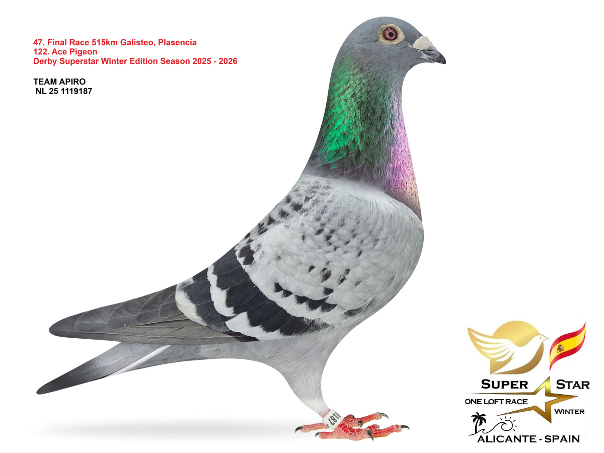 Final Superstar Winter Edition - part 3