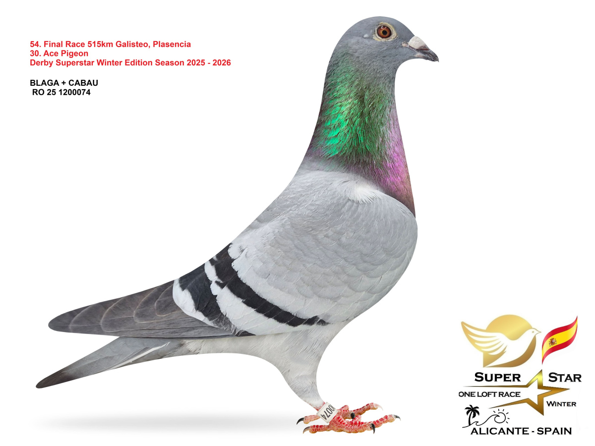 Final Superstar Winter Edition - part 3