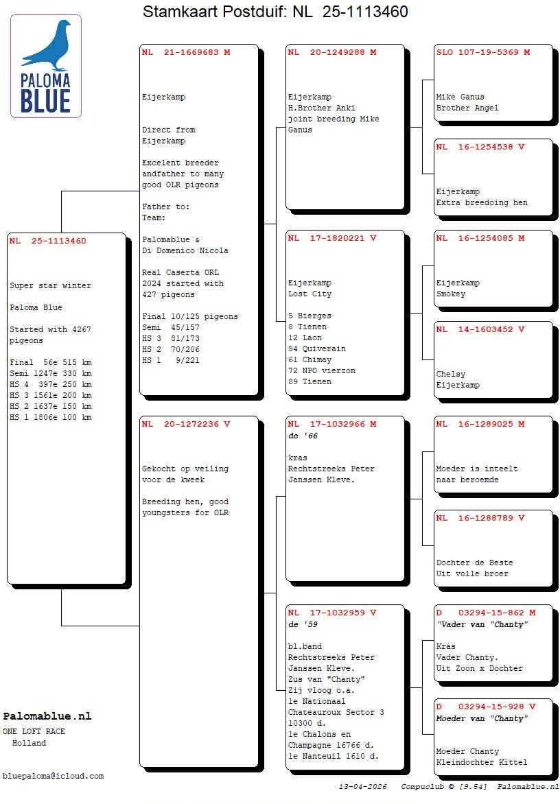 56. Final Race 515km Galisteo, Plasencia
275. Ace Pigeon 
Derby Superstar Winter Edition Season 2025 - 2026 

PALOMA BLUE
 NL 25 1113460