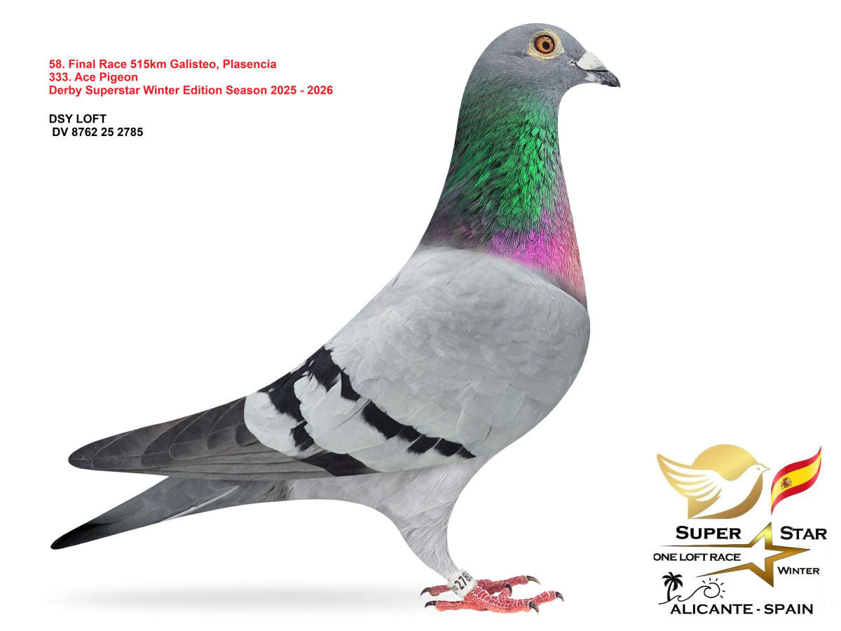 Final Superstar Winter Edition - part 3