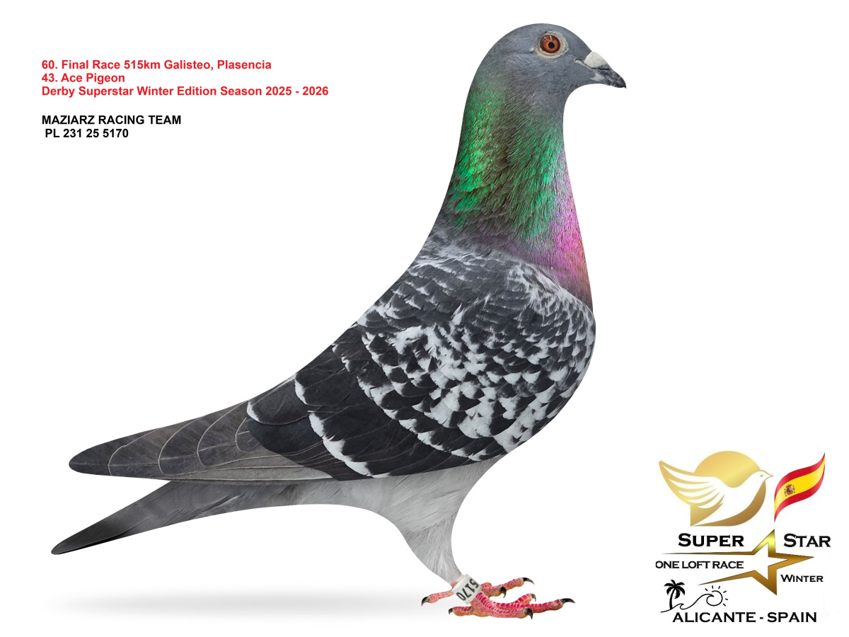 Final Superstar Winter Edition - part 3