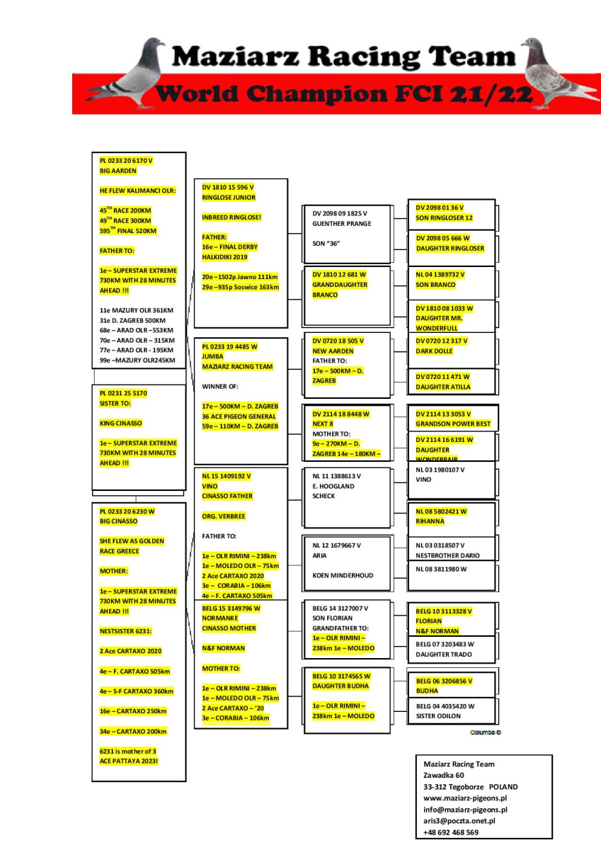 60. Final Race 515km Galisteo, Plasencia
43. Ace Pigeon 
Derby Superstar Winter Edition Season 2025 - 2026 

MAZIARZ RACING TEAM
 PL 231 25 5170 