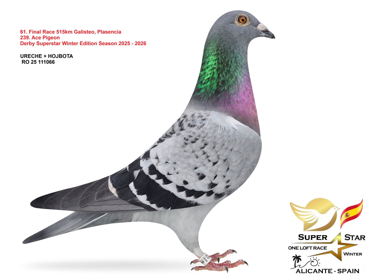 Final Superstar Winter Edition - part 3