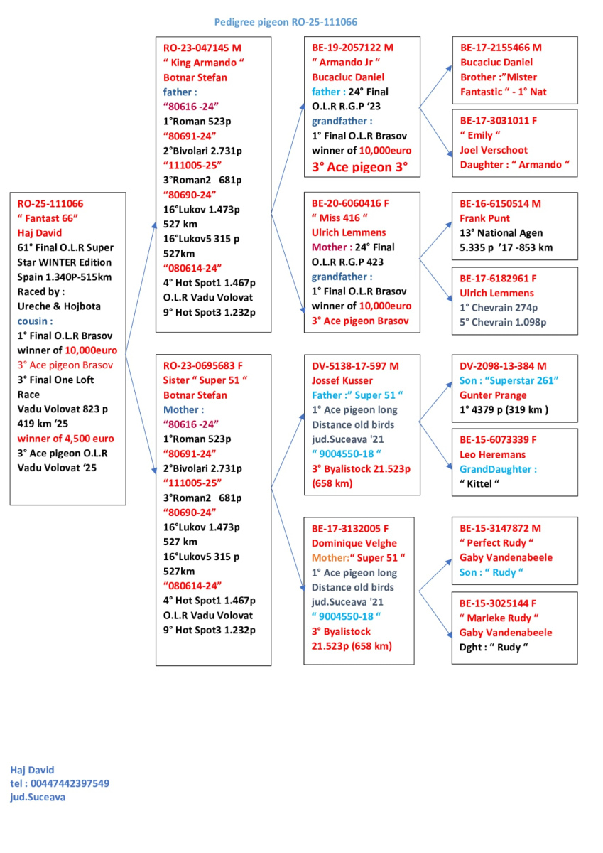 61. Final Race 515km Galisteo, Plasencia
239. Ace Pigeon 
Derby Superstar Winter Edition Season 2025 - 2026 

URECHE + HOJBOTA
 RO 25 111066

