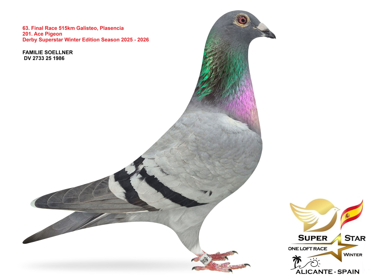 Final Superstar Winter Edition - part 3