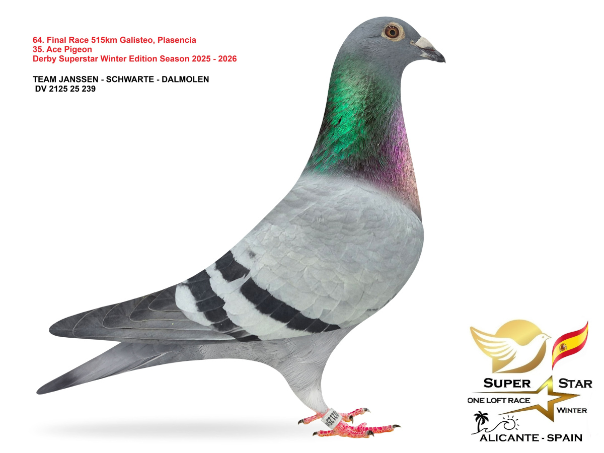 Final Superstar Winter Edition - part 3