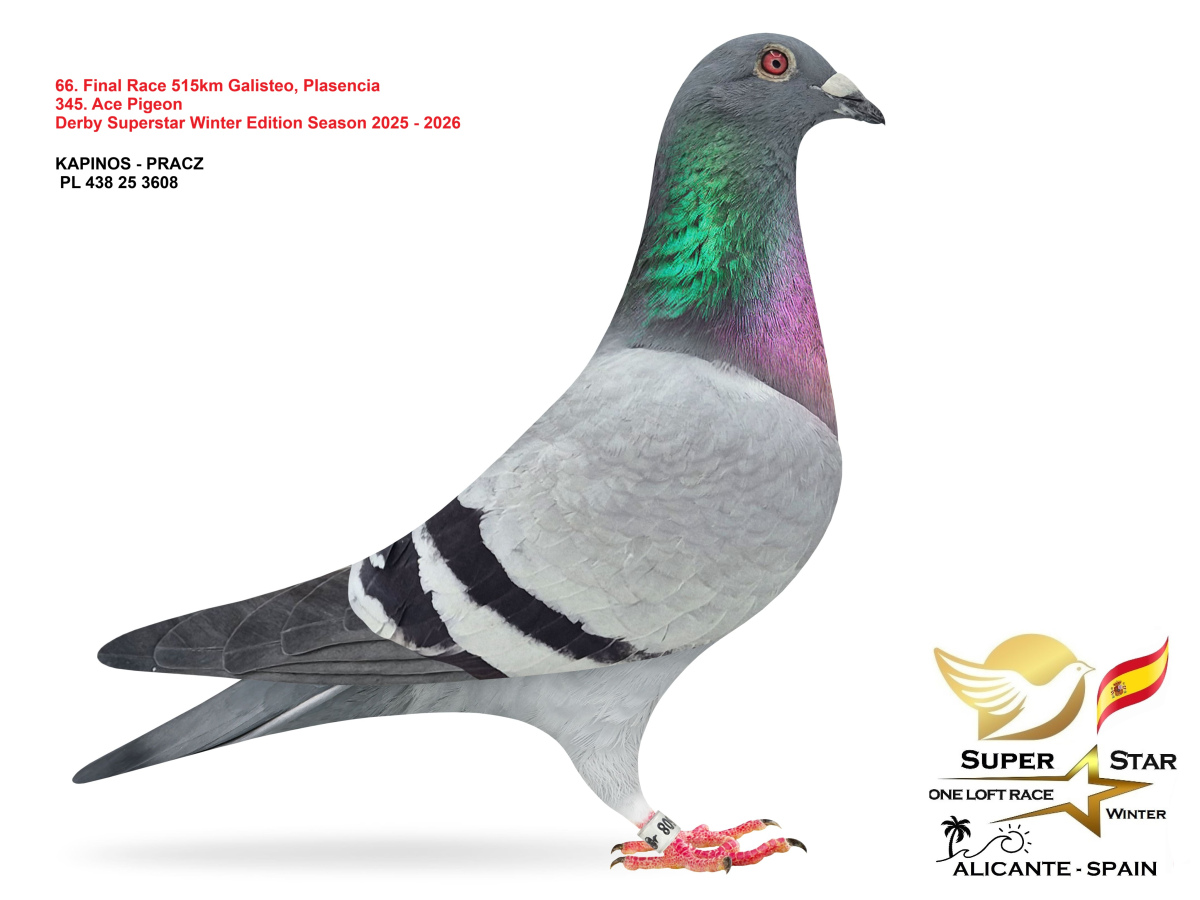 Final Superstar Winter Edition - part 4