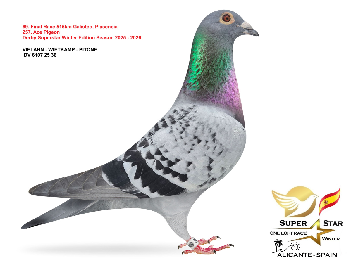 Final Superstar Winter Edition - part 4