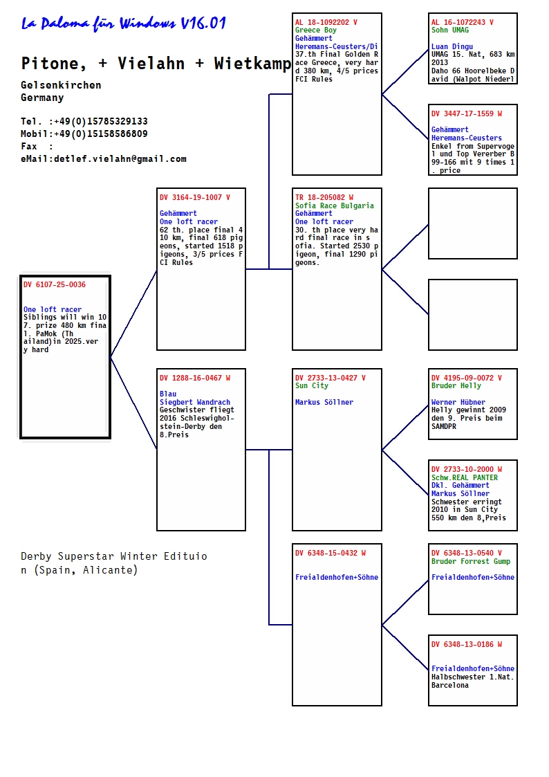 69. Final Race 515km Galisteo, Plasencia
257. Ace Pigeon
Derby Superstar Winter Edition Season 2025 - 2026 

VIELAHN - WIETKAMP - PITONE
 DV 6107 25 36