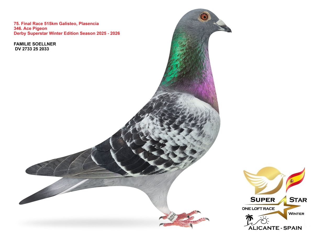 Final Superstar Winter Edition - part 4