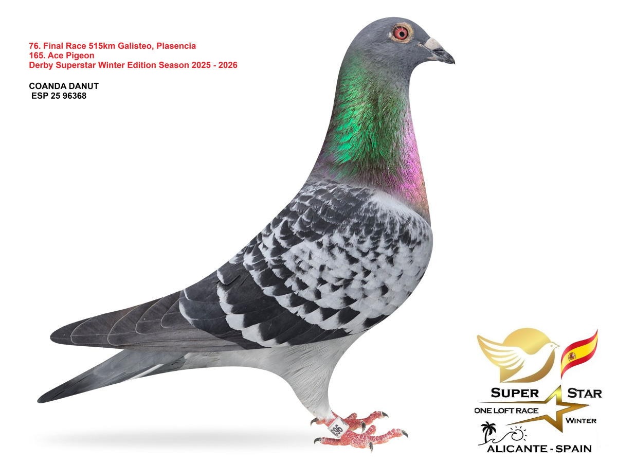 Final Superstar Winter Edition - part 4