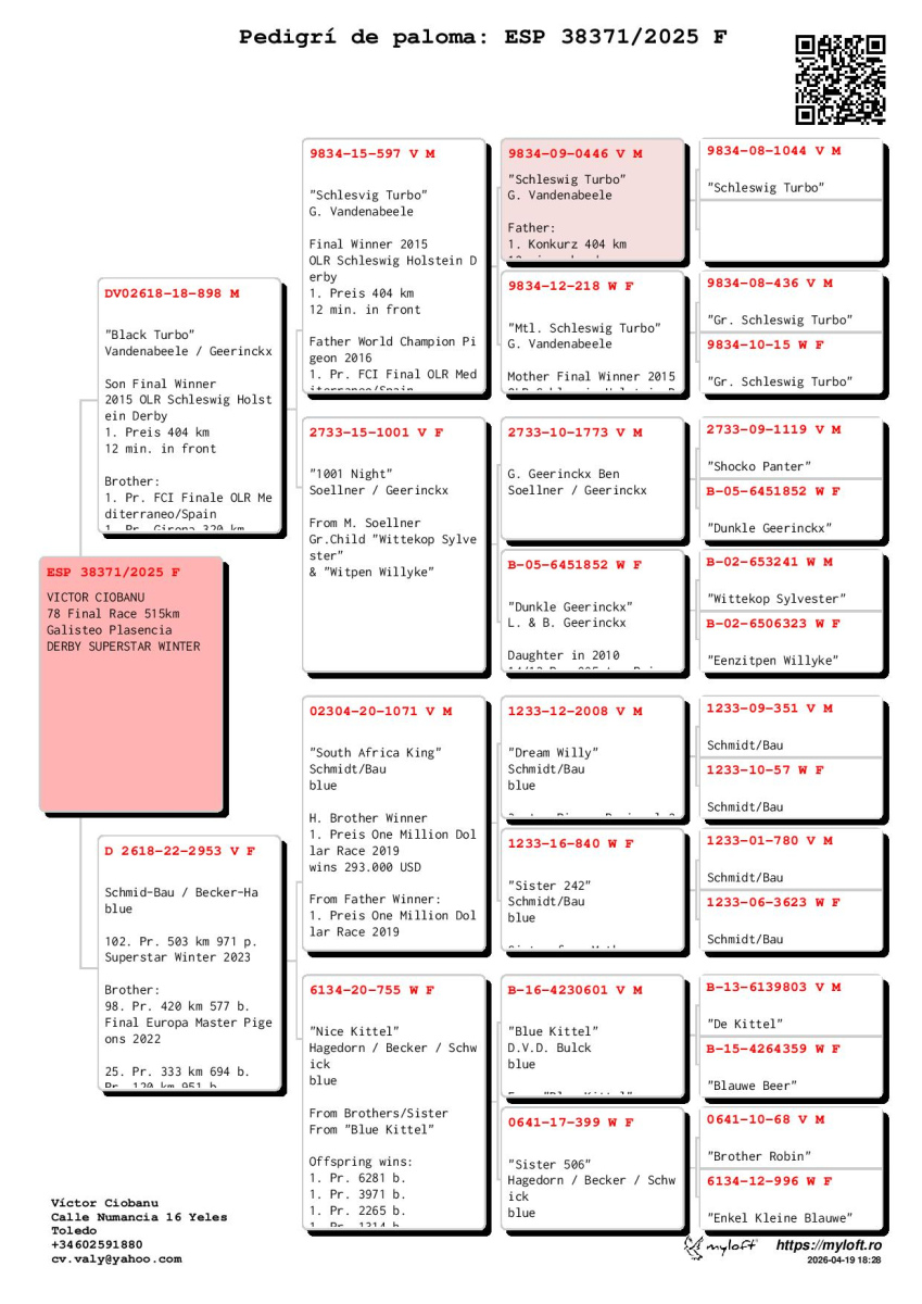 78. Final Race 515km Galisteo, Plasencia;
258. Ace Pigeon
Derby Superstar Winter Edition Season 2025 - 2026 

VICTOR CIOBANU
 ESP 25 38371