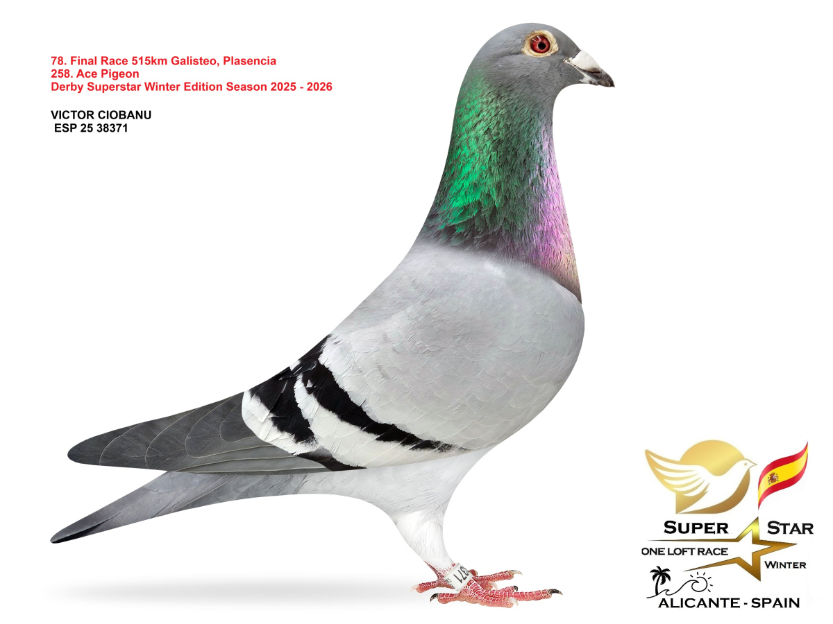 Final Superstar Winter Edition - part 4