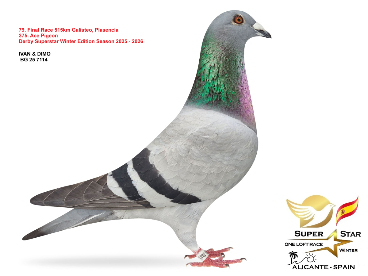 Final Superstar Winter Edition - part 4