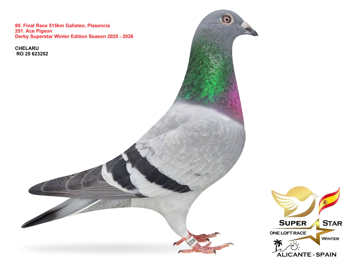 Final Superstar Winter Edition - part 4