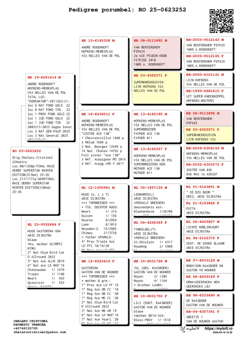 80. Final Race 515km Galisteo, Plasencia;
251. Ace Pigeon
Derby Superstar Winter Edition Season 2025 - 2026 

CHELARU
 RO 25 623252