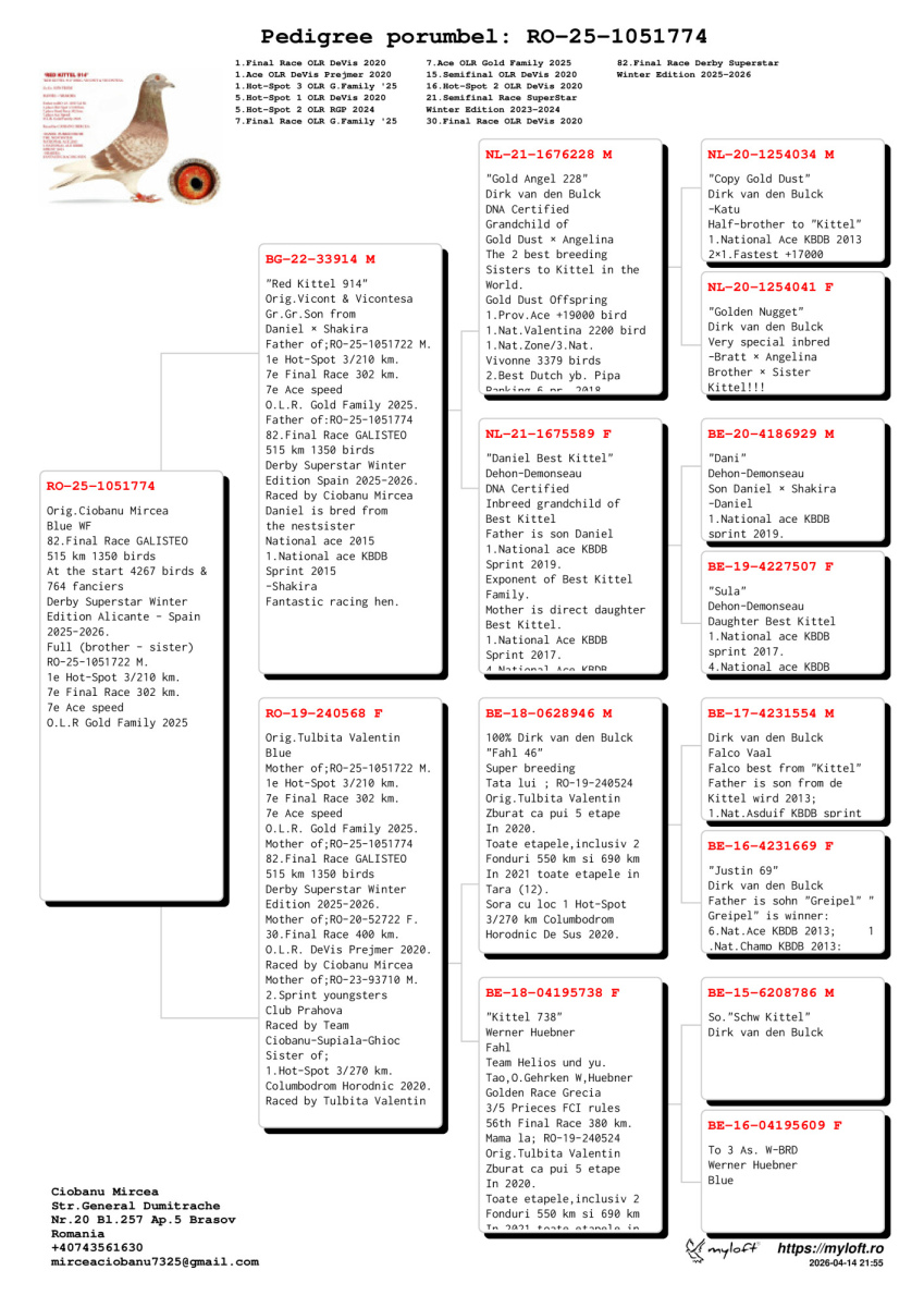 82. Final Race 515km Galisteo, Plasencia;
160. Ace Pigeon
Derby Superstar Winter Edition Season 2025 - 2026 

MIRCEA CIOBANU
 RO 25 1051774