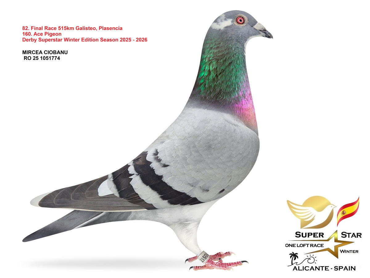 Final Superstar Winter Edition - part 4