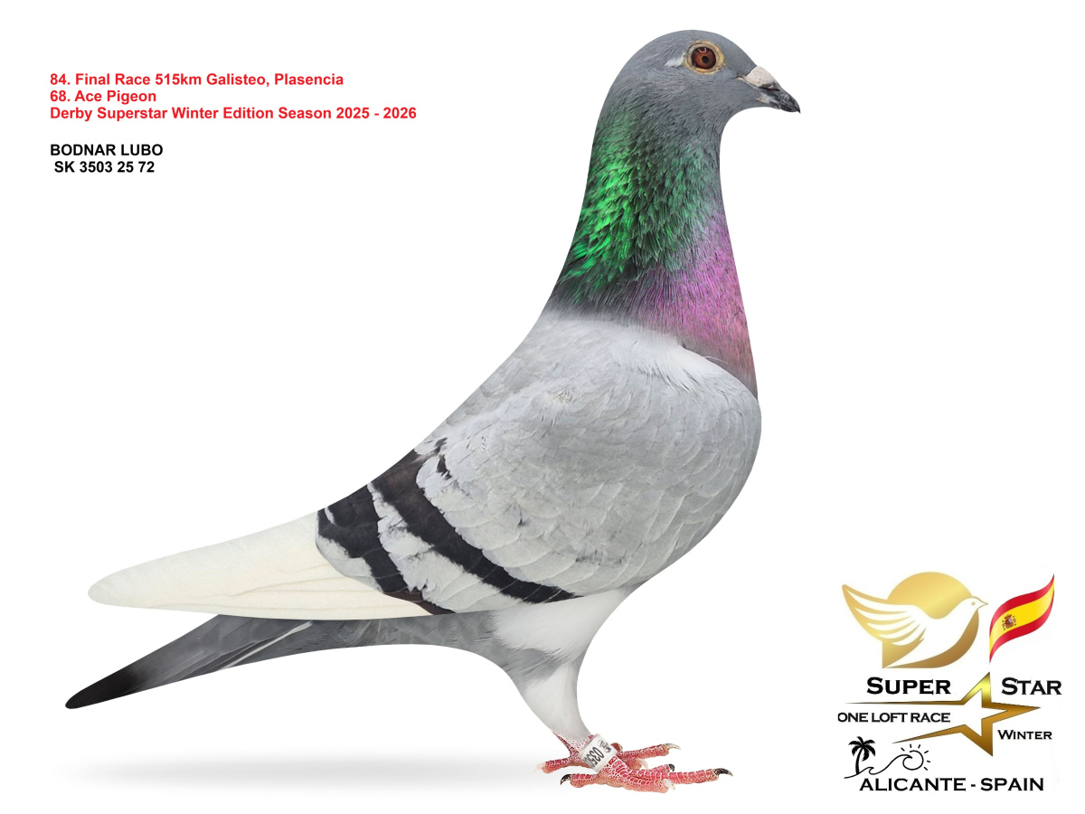 Final Superstar Winter Edition - part 4