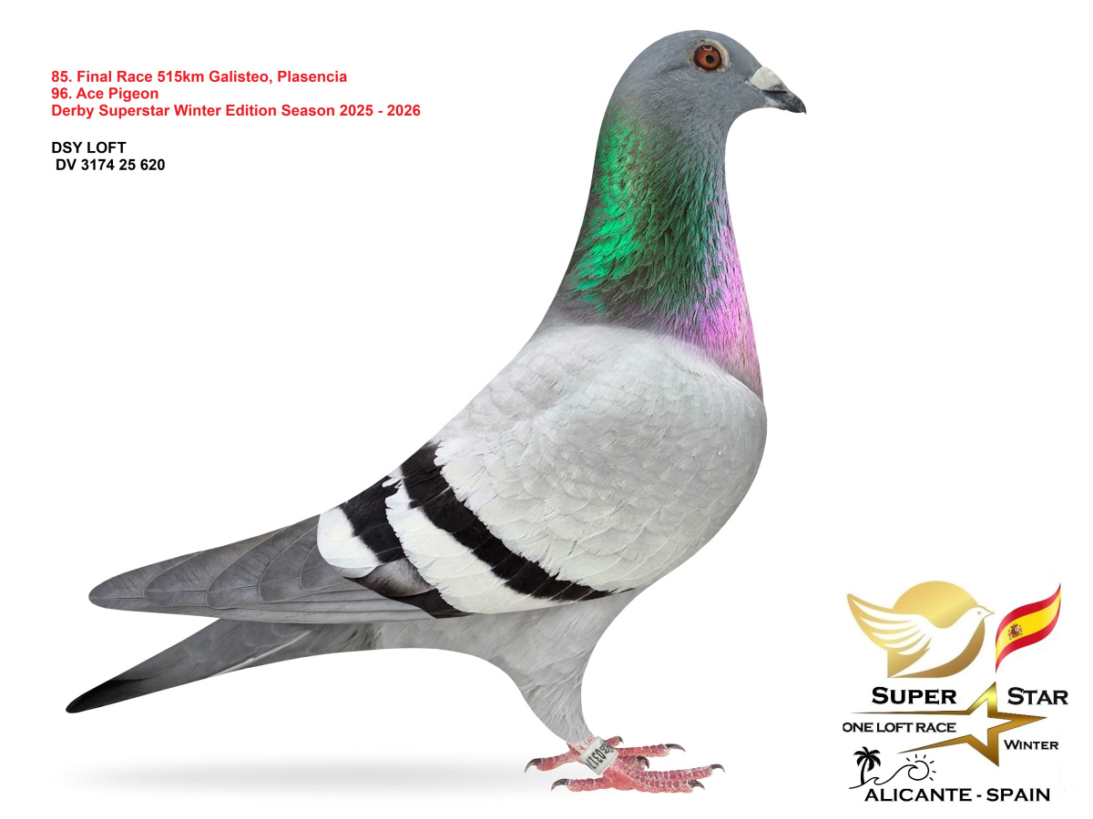 Final Superstar Winter Edition - part 4