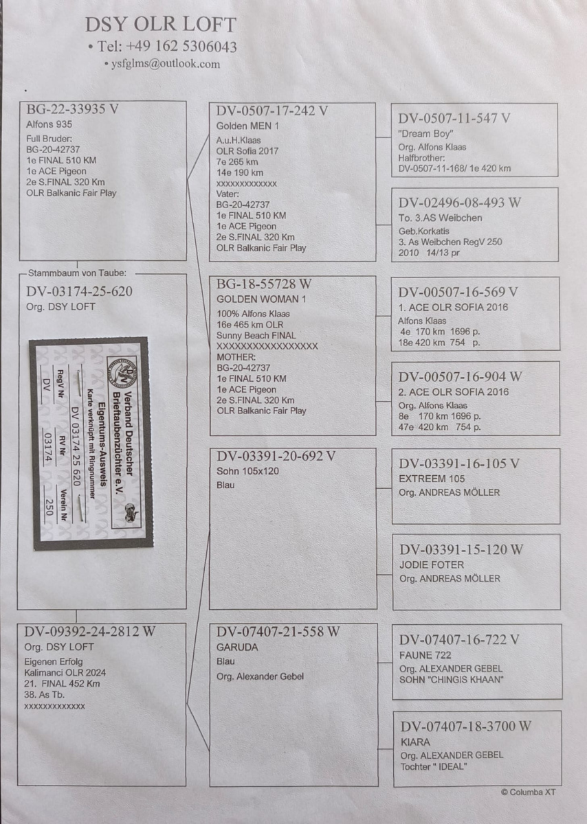 85. Final Race 515km Galisteo, Plasencia;
96. Ace Pigeon
Derby Superstar Winter Edition Season 2025 - 2026 

DSY LOFT
 DV 3174 25 620
