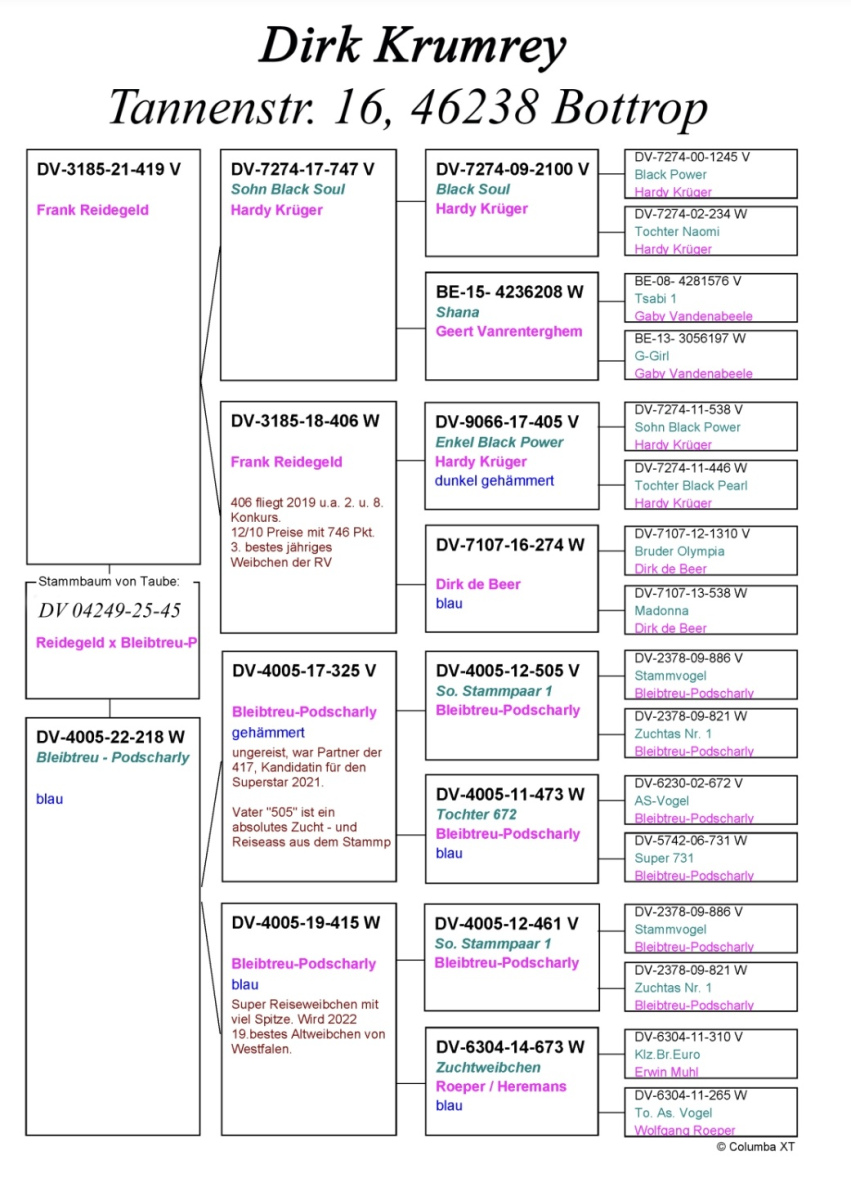 89. Final Race 515km Galisteo, Plasencia;
38. Ace Pigeon,
63. Hot Spot 2
Derby Superstar Winter Edition Season 2025 - 2026 

TEAM WESTFALENPERLE
 DV 4249 25 45