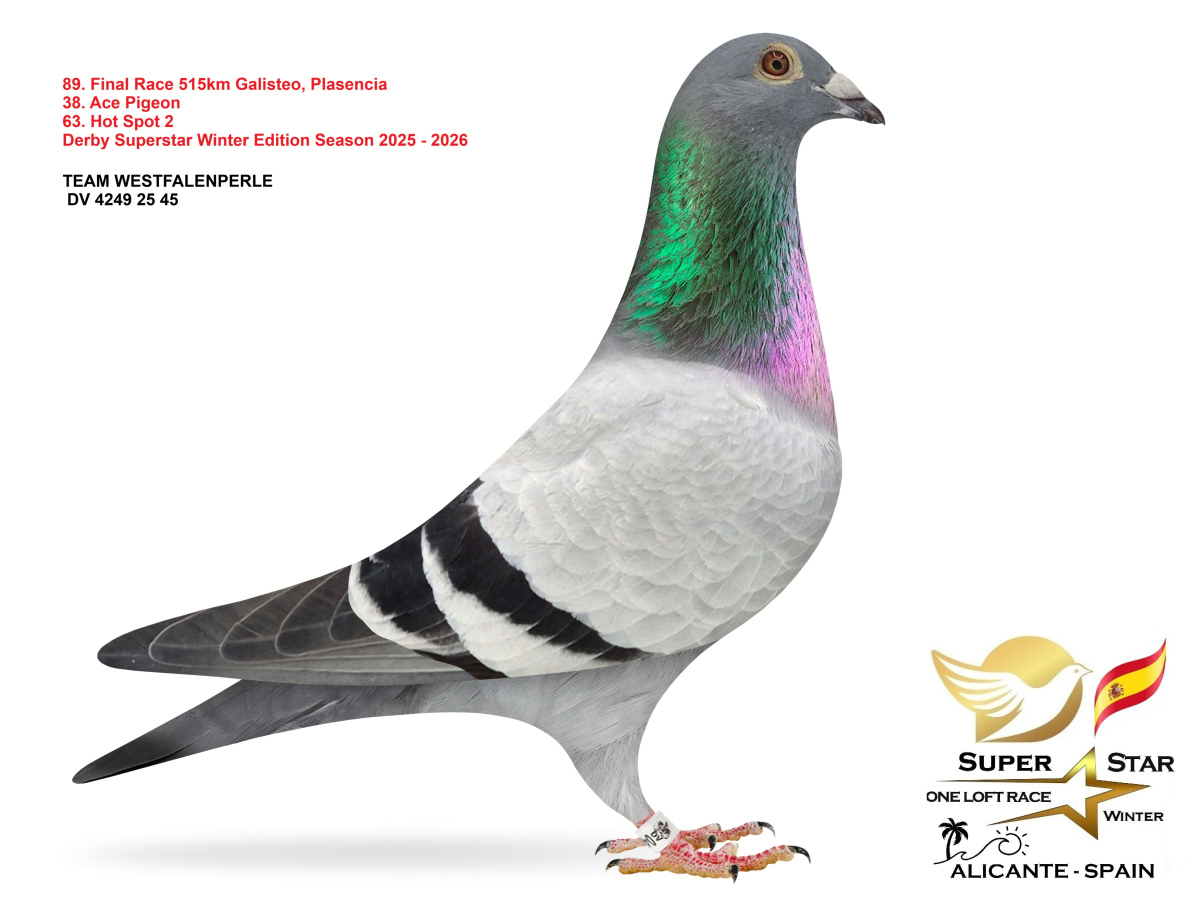 Final Superstar Winter Edition - part 4