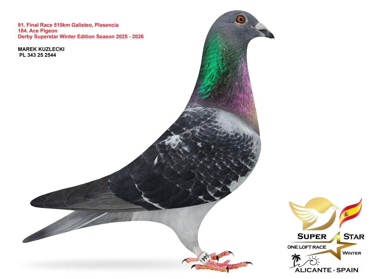 Final Superstar Winter Edition - part 4