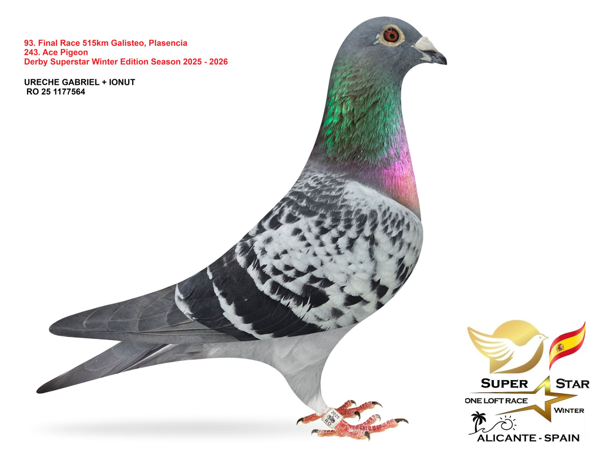 Final Superstar Winter Edition - part 4