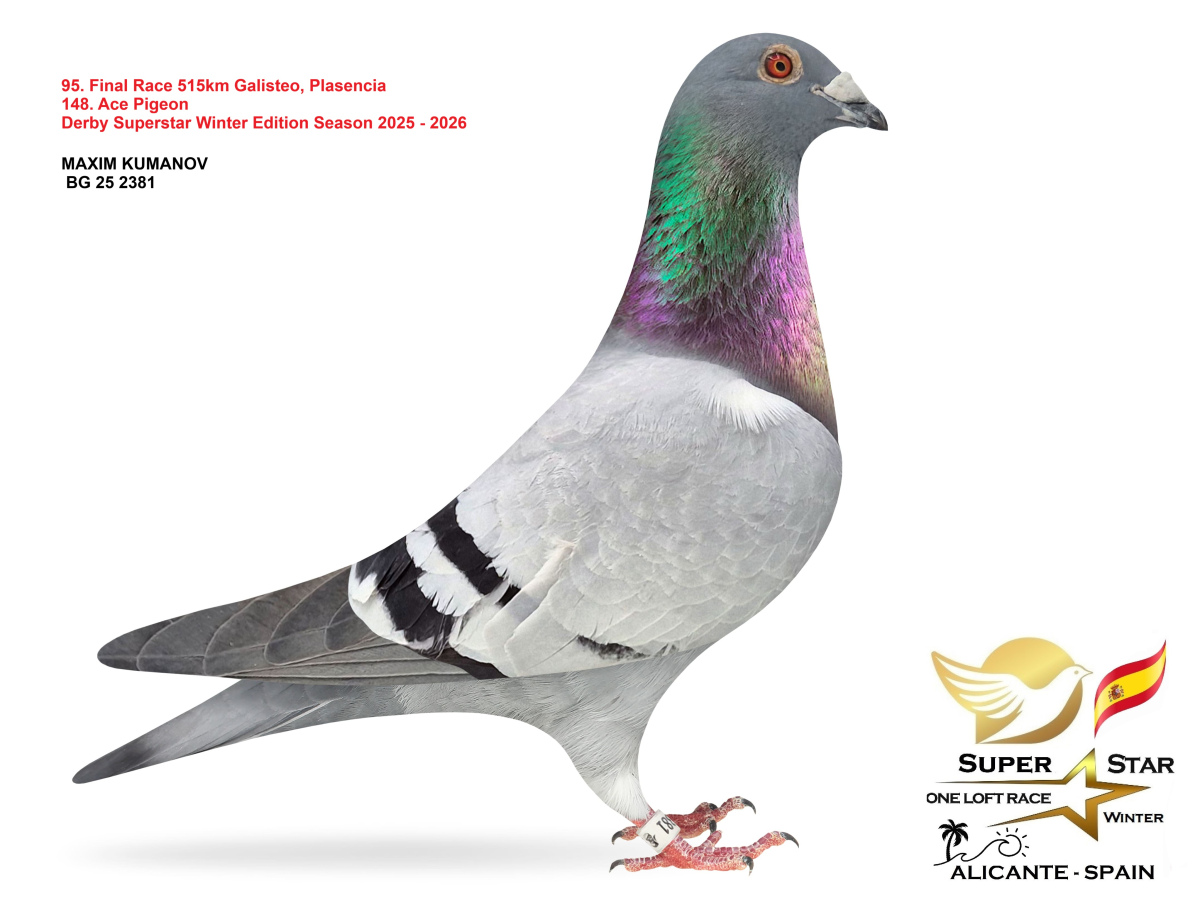 Final Superstar Winter Edition - part 4