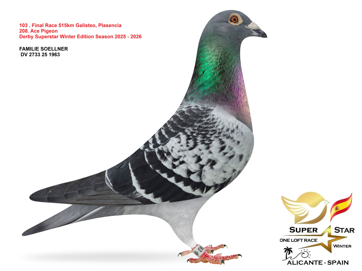 Final Superstar Winter Edition - part 4