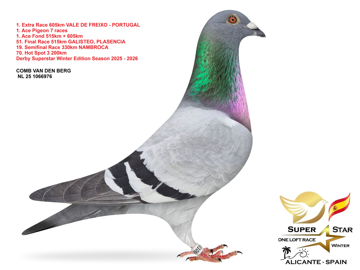 Extra Race 605km Superstar Winter - part 1