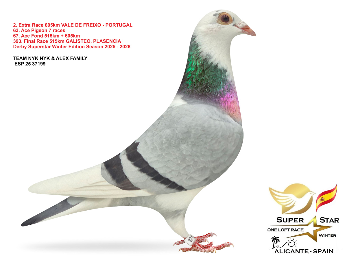 Extra Race 605km Superstar Winter - part 1