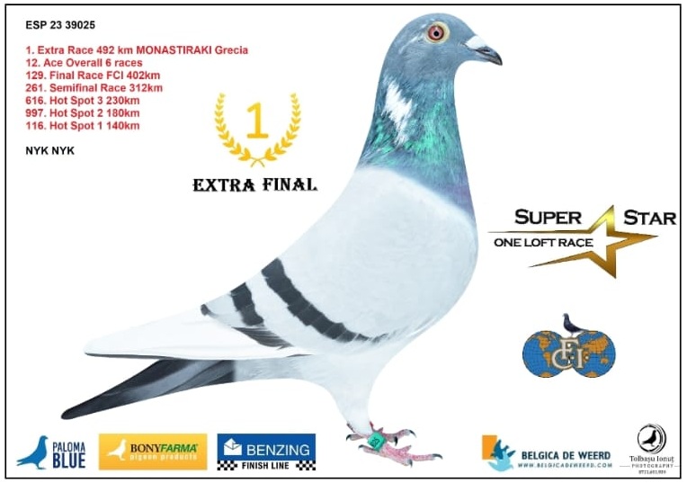 2. Extra Race 605km VALE DE FREIXO - PORTUGAL 
Derby Superstar Winter Edition Season 2025 - 2026 

TEAM NYK NYK & ALEX FAMILY
 ESP 25 37199