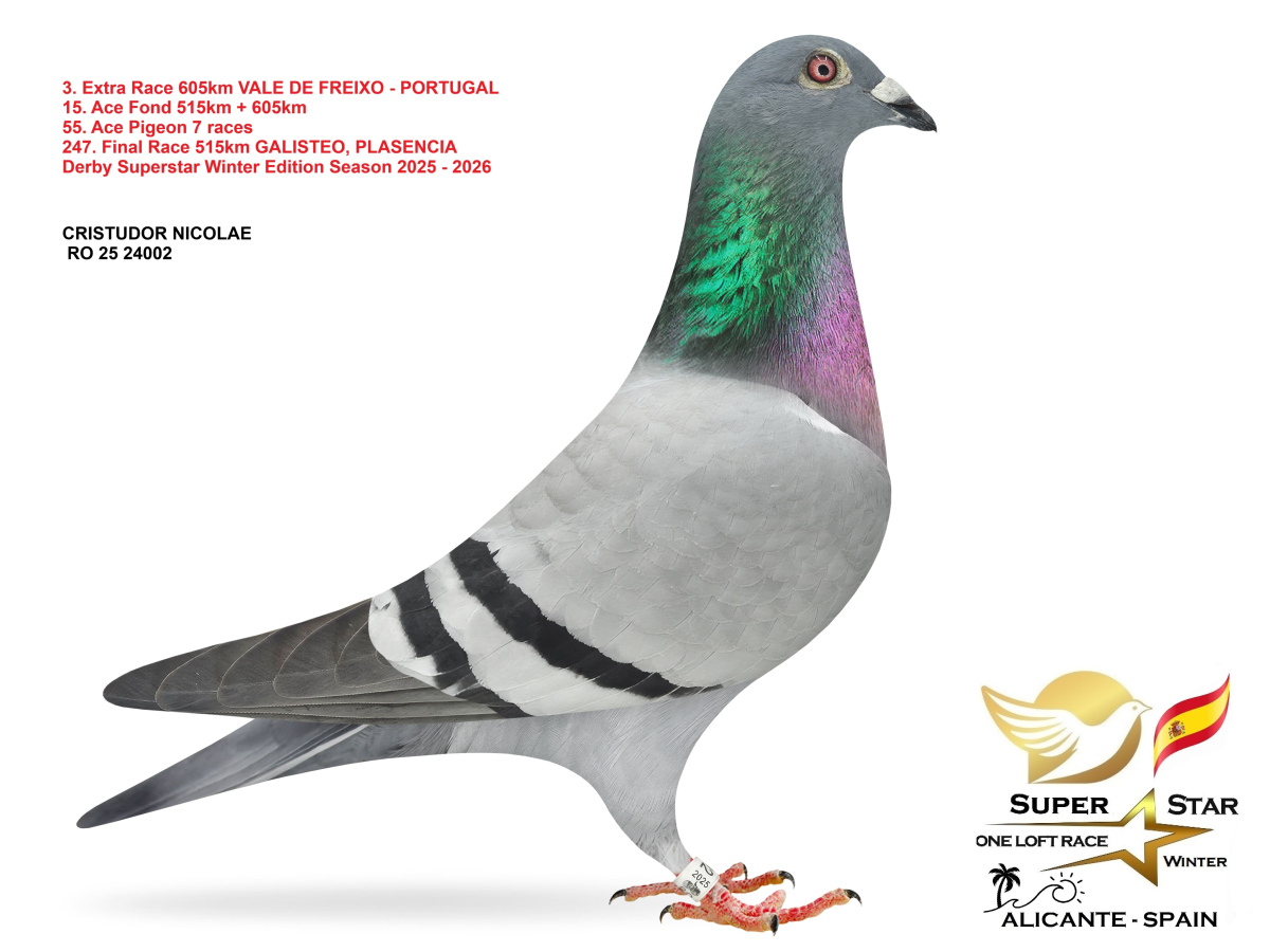 Extra Race 605km Superstar Winter - part 1